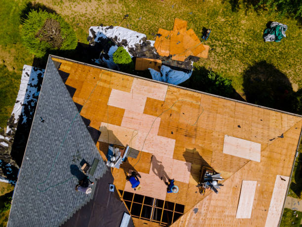 Quick and Trustworthy Emergency Roof Repair Services in The Acreage, FL